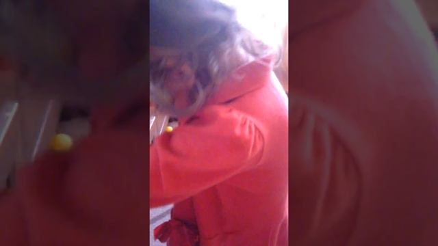 Жесть, доча ест Лук
