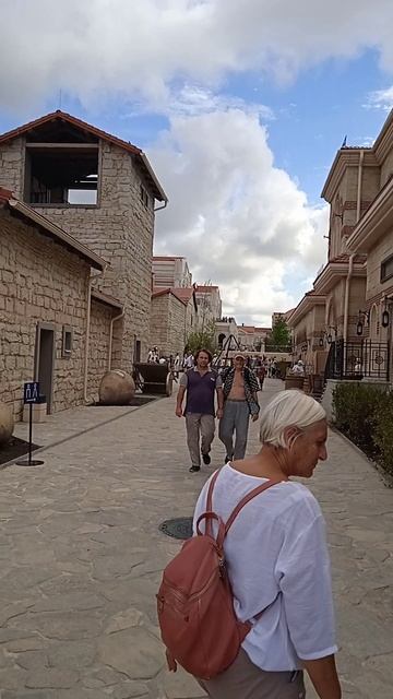 VID_20240804_161808