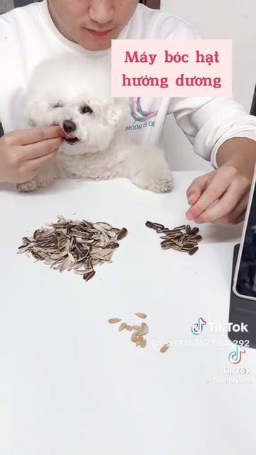 VID-20250221-WA0009.mp4