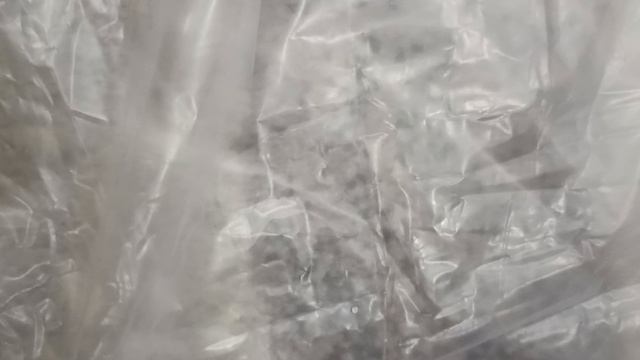 1000003613.mp4