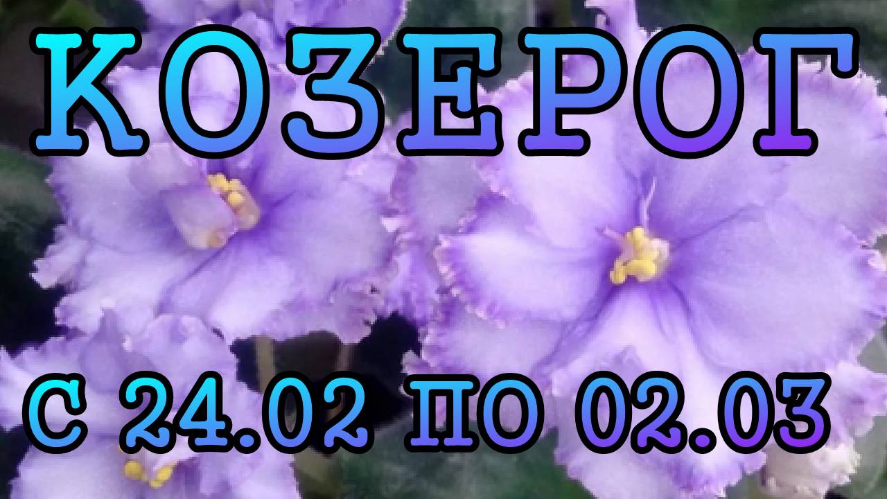 КОЗЕРОГ таро прогноз на неделю с 24 ФЕВРАЛЯ по 2 МАРТА 2025 года.