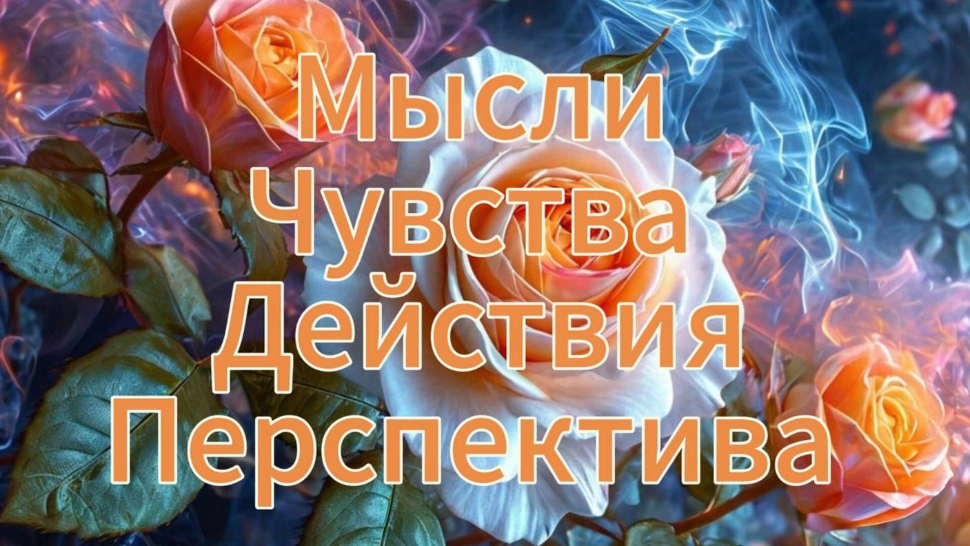 Мысли, чувства, действия и перспектива.