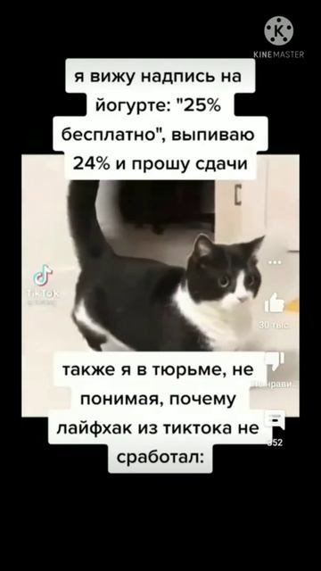 мем
