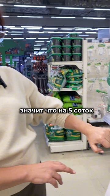 Сколько стоит газон 💸