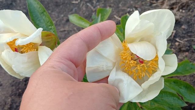 20240612_204740 (online-video-cutter.com)