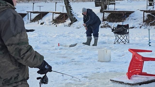 21.02.25 г. Парк отдыха водопад