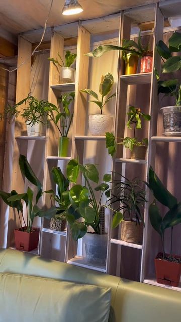 🌿✨ неуютно?
Просто добавь цветы 🌺