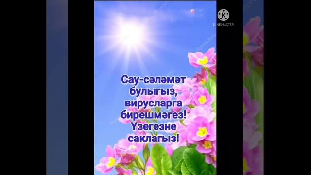 Нурислам. Бэхет кошым