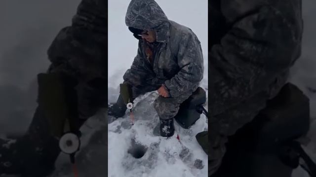 Эта песня посвящается рыбакам 💪