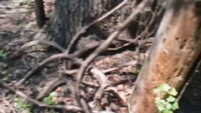 Diggin History #7 Part I - Silver & Wheat's + more metal detecting.