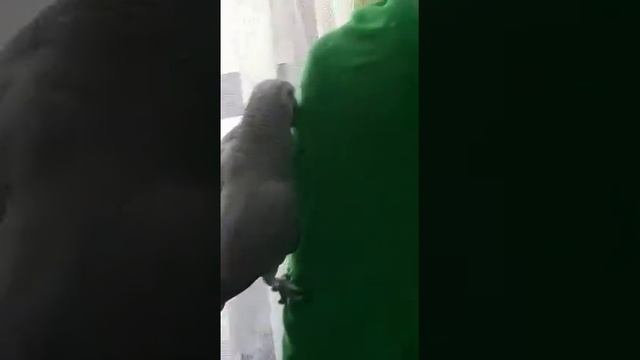 проверка допустимых пределов... учимся плохому.