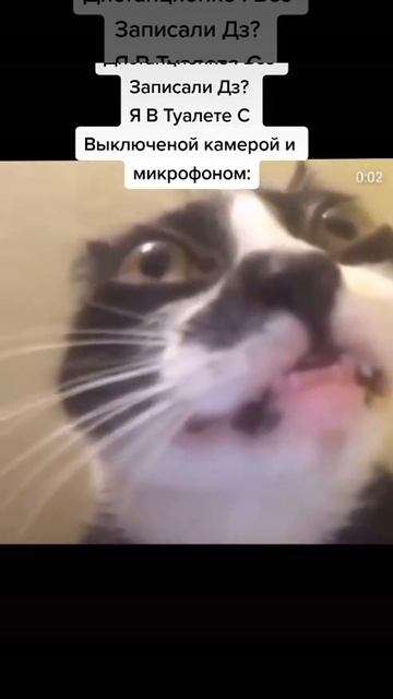ЗАБЫЛ ВЫКЛЮЧИТЬ МИКРОФОН  #разрывная