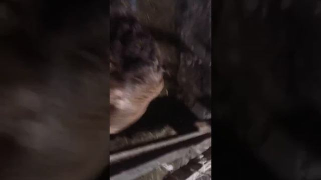 Эдильбай село Кочкор