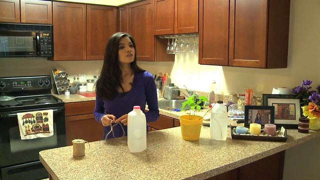 BUDGET DIVA | How to make a self-watering plant dispenser