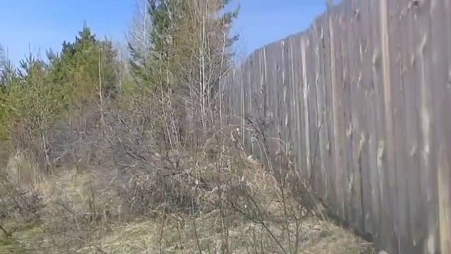 1000047635.mp4