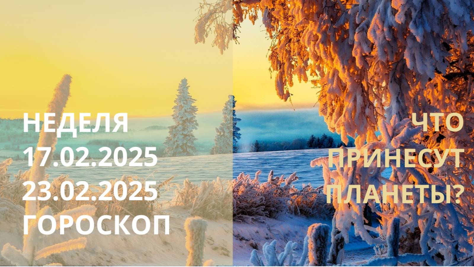 ⭐ ПРОГНОЗ НА НЕДЕЛЮ С 17.02.2025 ПО 23.02.2025 ⭐ Контакты floransia@yandex.ru