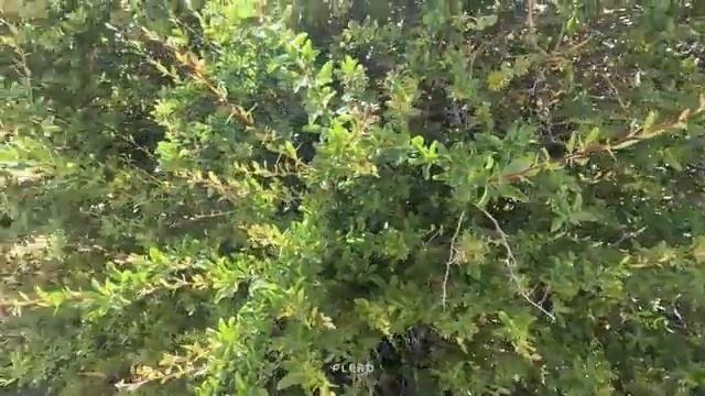 03.06.2023 Миграция От солнечных пейзажей к заснеженным вершинам ИРАН 2023 (ЧАСТЬ 1)