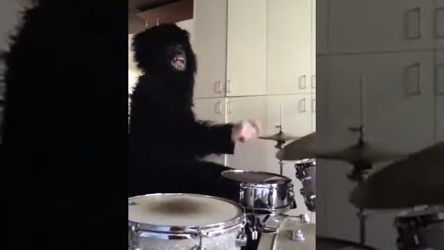 Bruno Mars - Gorilla - Drum Cover