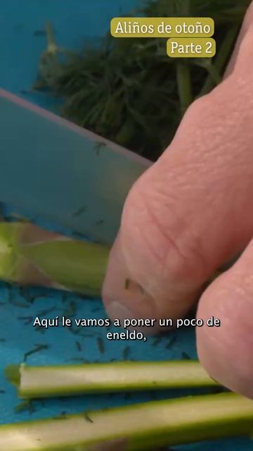 Aliños de otoño: Con granada y arándanos 🫐 #AquiLaTierra #RTVECocina #ShortsRTVE