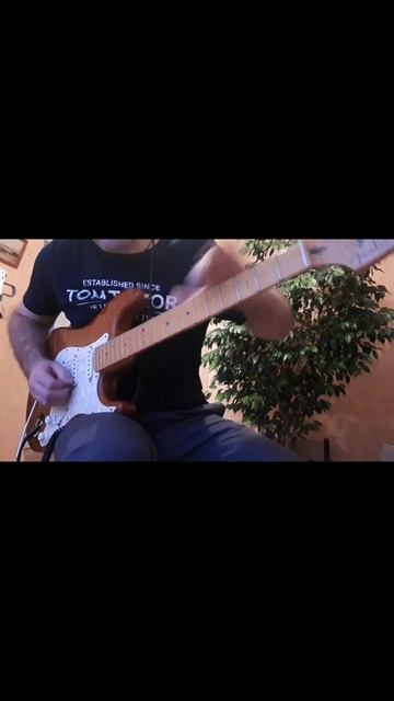 "No Boundaries" - Michael Angelo Batio (Cover) - Final fragment.