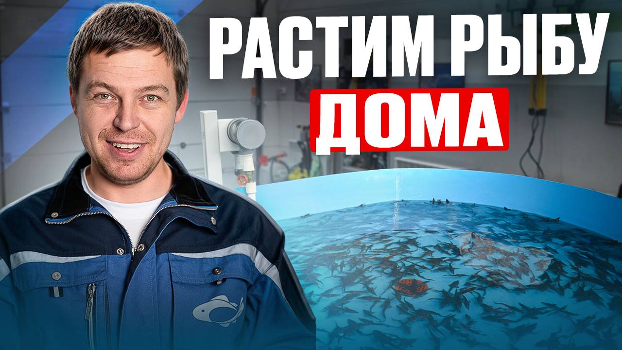 Как БЫСТРО сделать мини УЗВ у себя в ГАРАЖЕ и сколько это стоит? Пошаговый план разведения рыбы