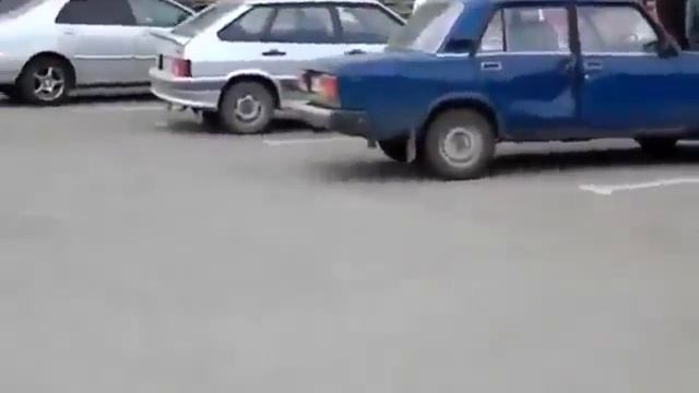 Кошки против собак Прикол! Юмор! Прикол! Смех Смешные приколы с кошками1