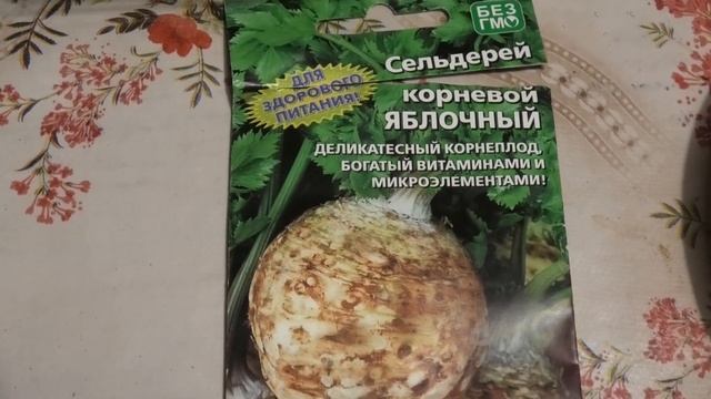 19-25 02 2024г на даче,выращивание сельдерея,рассада