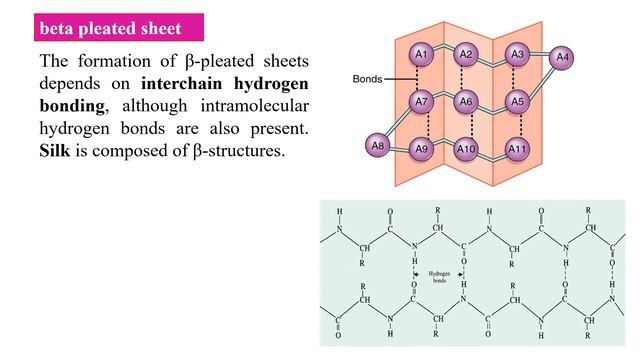 Protein structure | Primary, Secondary, Tertiary and Quaternary structure of proteins | Biochemistr