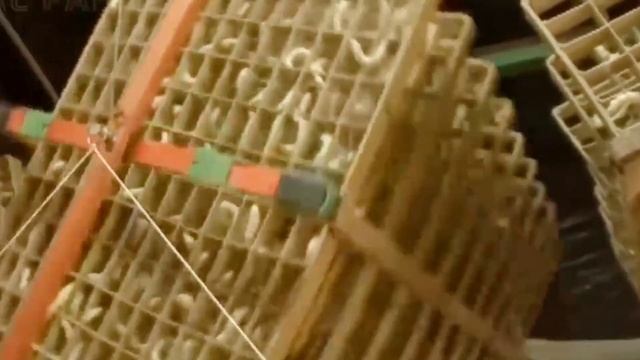 Pantas Harganya mahal | proses Produksi sutra Jepang dari telur sampai jadi benang