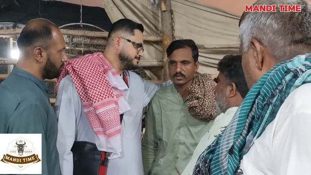live Soda | makhi chine bakre | shapur kanjra mandi lahore Pakistan | qurbani 2024