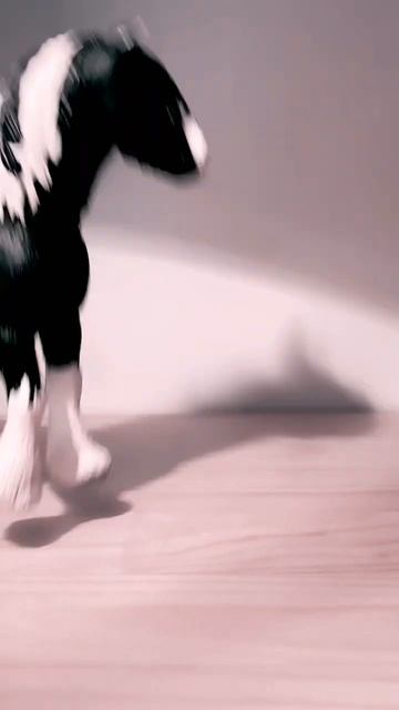 Я не нашол звук поэтому… #horse #лошади #шляйх #кони