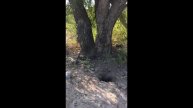 Законность слива отходов из шамбо в районе Биробиджан-2 проверит природоохранная прокуратура