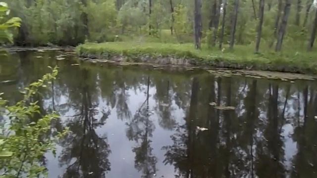 Волшебство природы)#2
