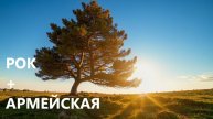АРМЕЙСКАЯ КАВЕР "Стоит сосна, река жемчужная течет"