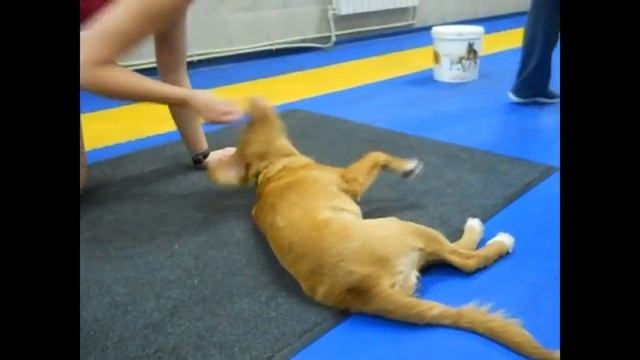 Женя Ася 29.08.2018