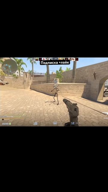 Загадочное существо #counterstrike2 #csgo