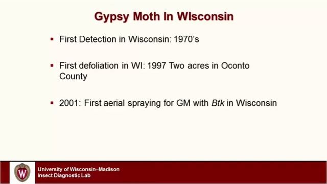 Gypsy Moth in Wisconsin