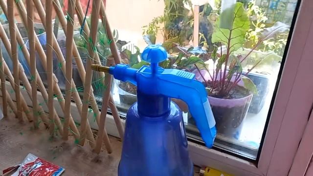 Как избавиться от сорняка на своем участке..#shorts