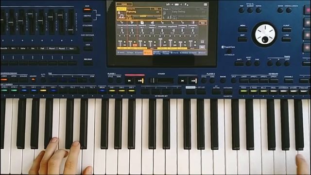 Papa Dance Korg Style / Italo Disco / Korg Pa5x