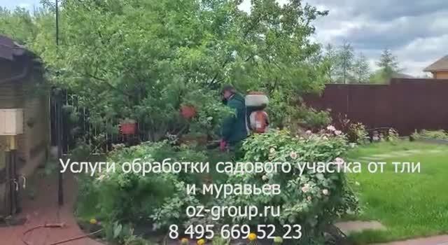 Услуги обработки садового участка от тли и муравьев. Выезд Агрономов по Москве и области. Звоните!