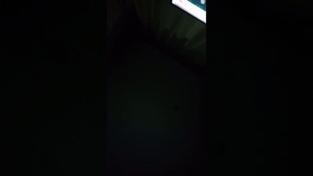 обзор жвачки