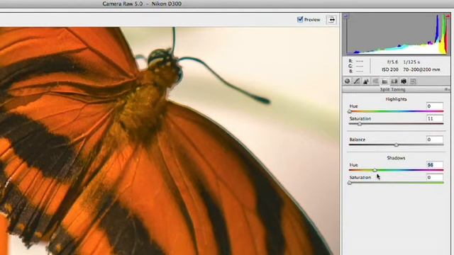 Photoshop for Video: Camera Raw - Part 2