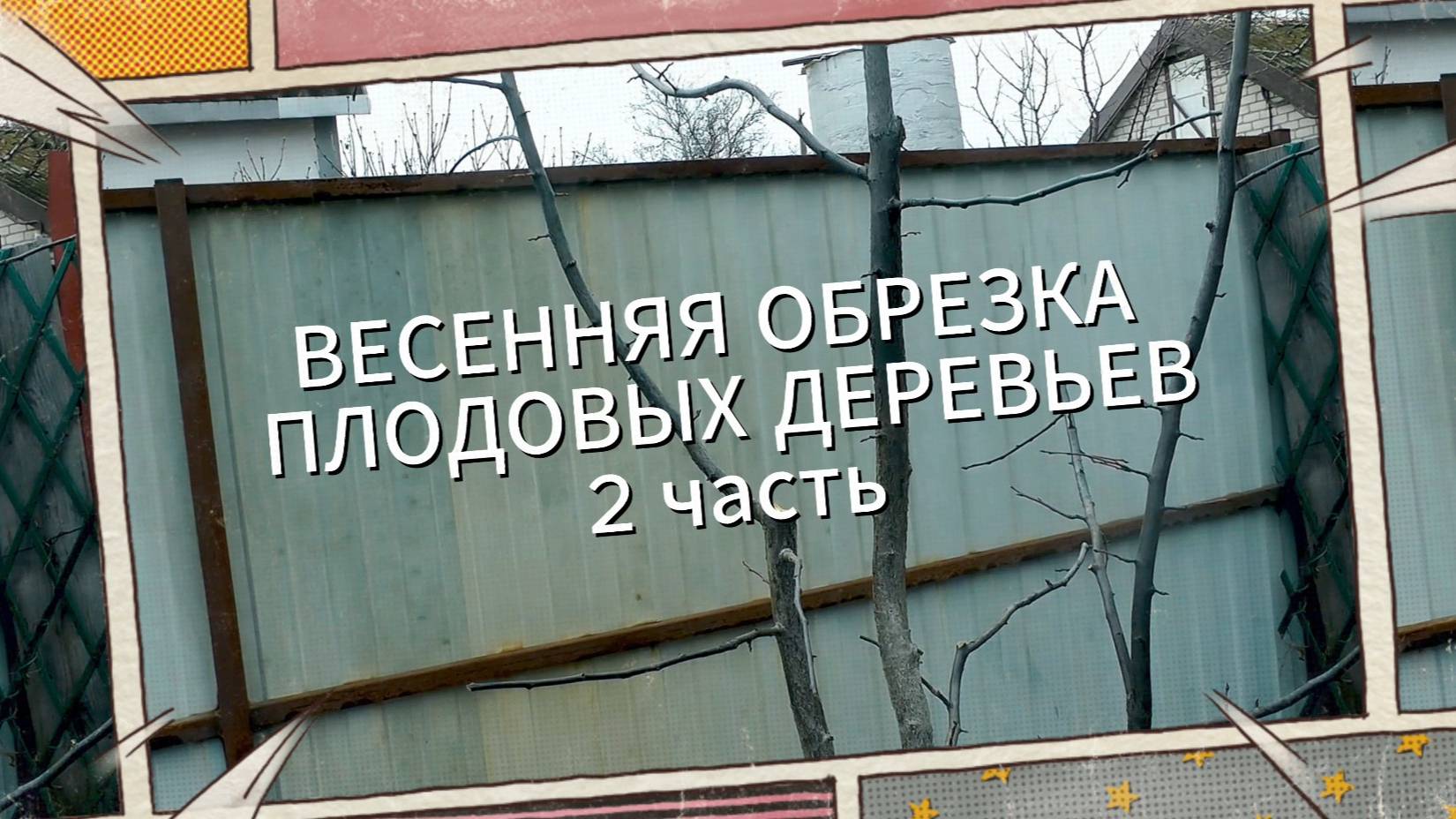 Весенняя обрезка плодовых деревьев. 2 часть. Обрезка абрикоса и сливы.