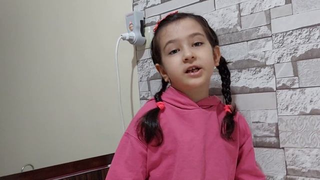 KOALA HAKKINDA BİLGİLER,SESLENDİRME SANATÇISI HAKKINDA HERŞEY...