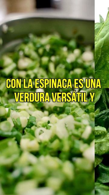 Top 5 Verduras Esenciales para una Vida Saludable #verduras