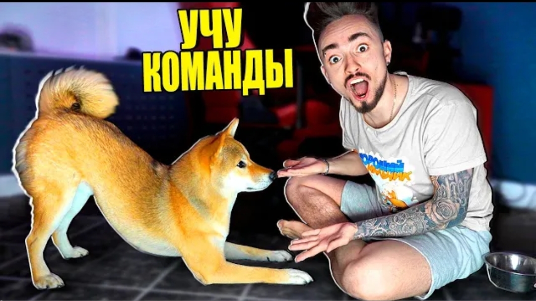 [ЭдисонПерец] МОЯ СОБАКА УЧИТ НОВЫЕ КОМАНДЫ!