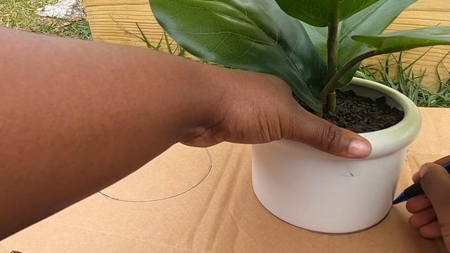 Preventing damage from the cabbage root fly & maggot/Making FREE cabbage collars
