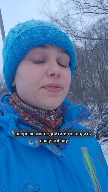 Собачники буреют с этой прикормки