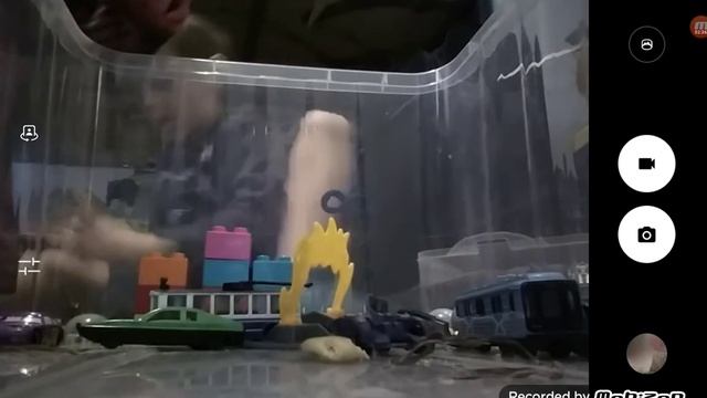 когда хомяку было 1 год