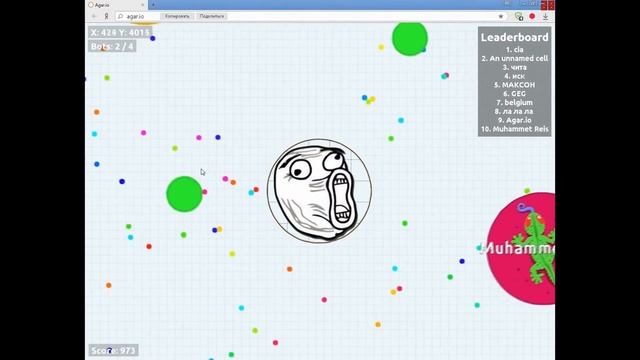 Agar.io//Solo Gameplay//Hide
